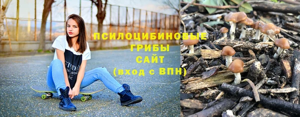 не бодяженный Армянск