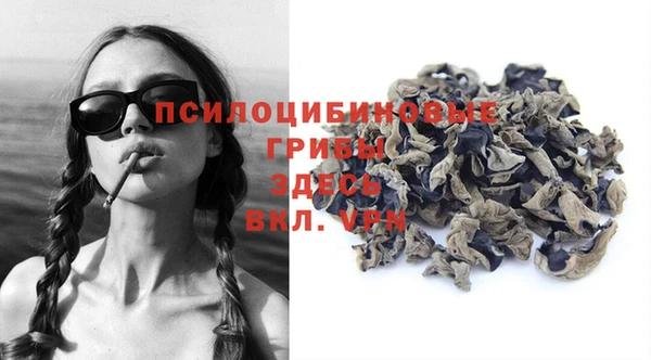 apvp Арсеньев